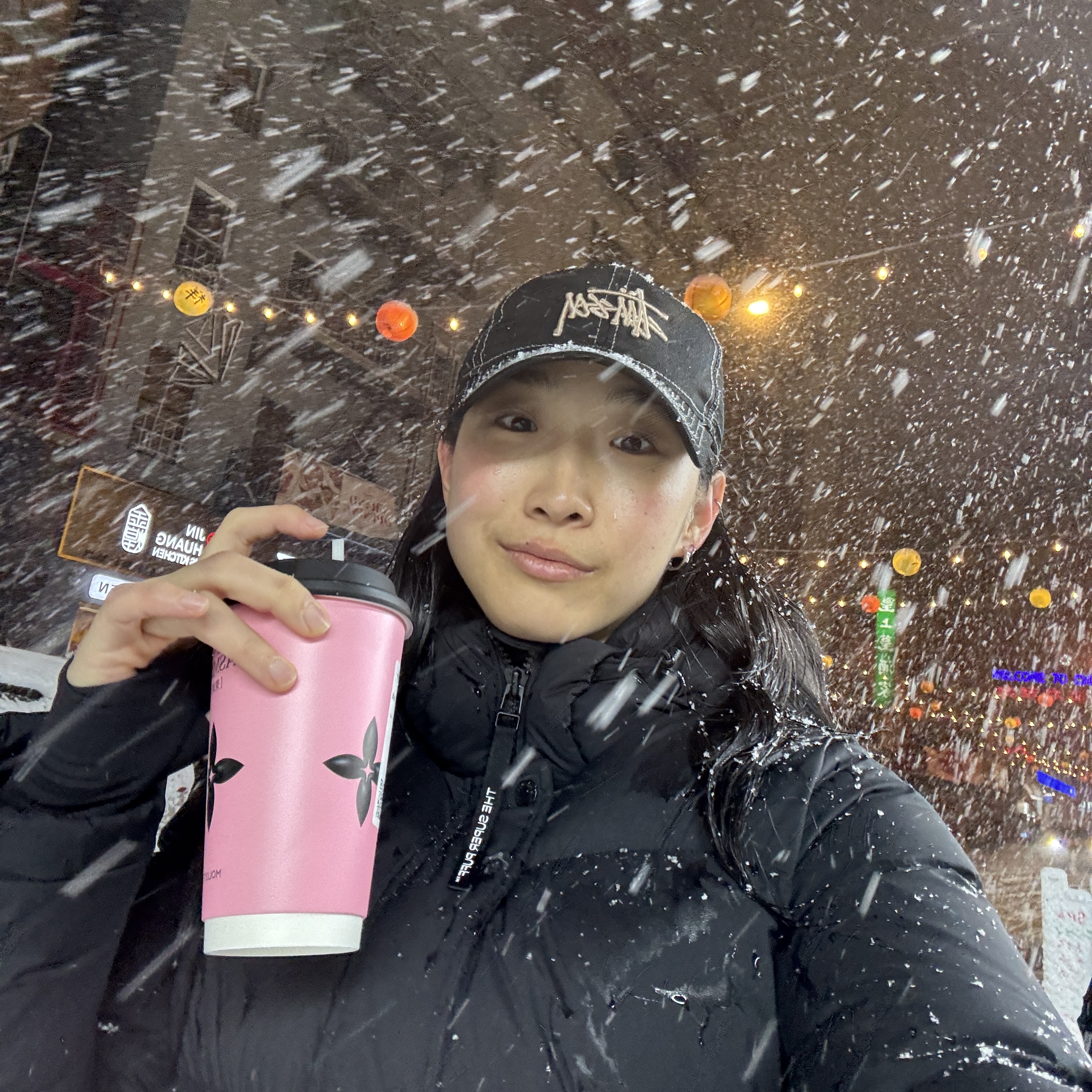 Snowy night